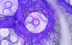 2014 04 26 Evening Plastic 47-white.jpg